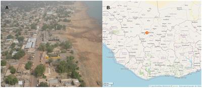 Molecular epidemiology of enterically colonizing Escherichia coli with resistance against third-generation cephalosporins isolated from stool samples of European soldiers with concomitant diarrhea on deployment in Western African Mali